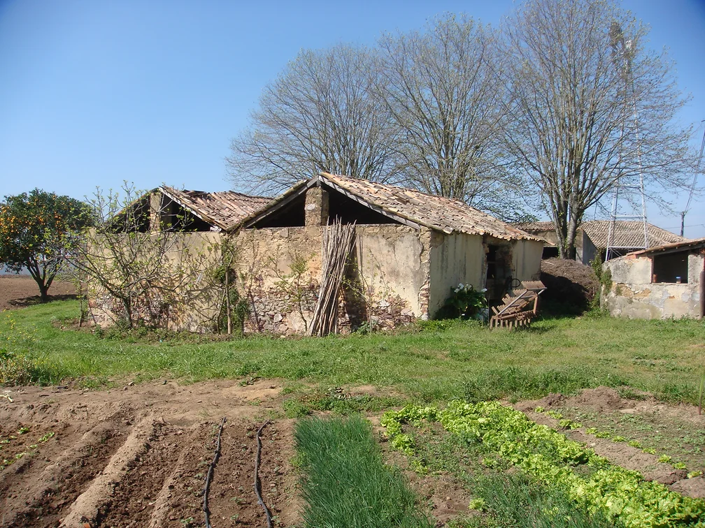 fbf66f_ff1915d0e0f54f19b72bed6add42a141